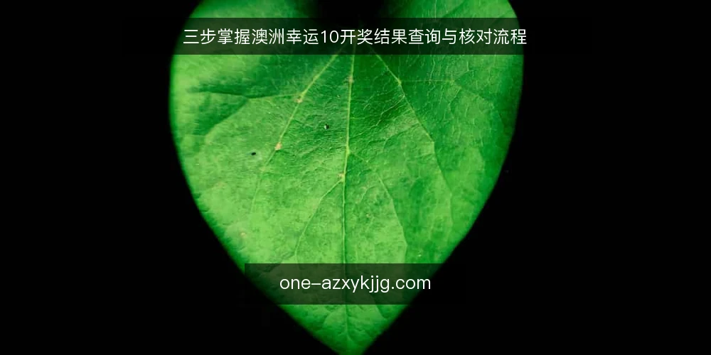 三步掌握澳洲幸运10开奖结果查询与核对流程 — 准备：明确查询渠道与时间窗口 配图