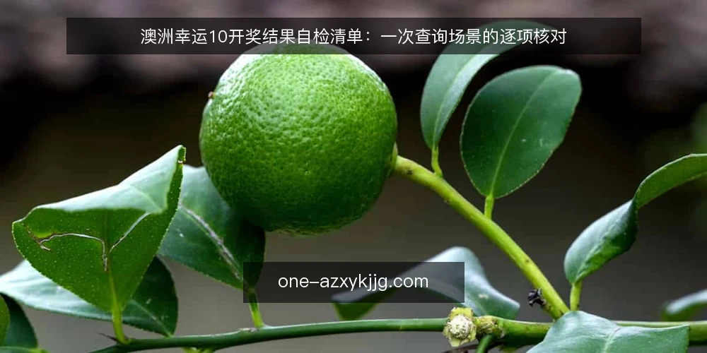 澳洲幸运10开奖结果自检清单：一次查询场景的逐项核对 — 场景设定：一次开奖结果核对 配图