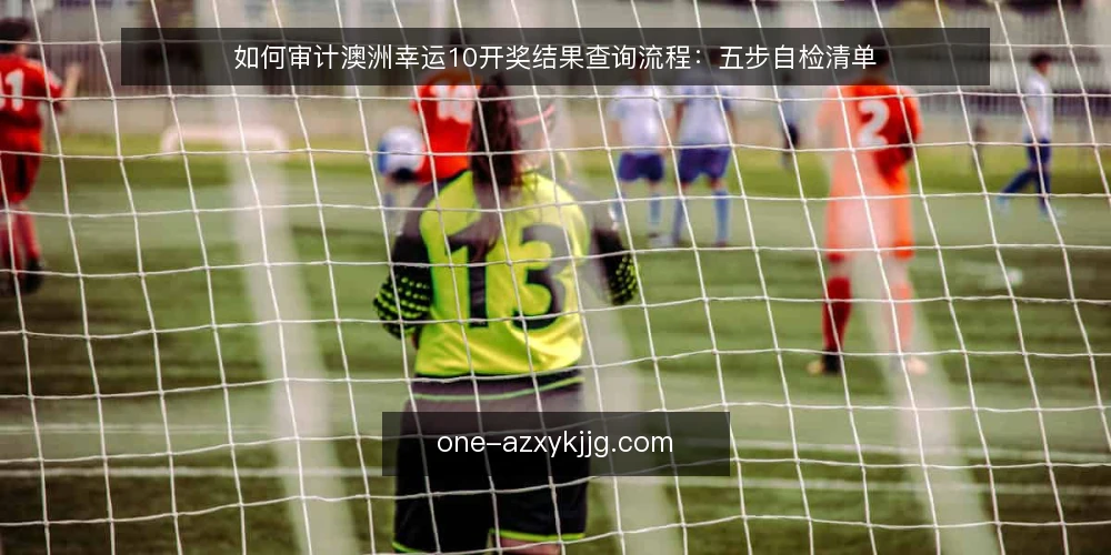 如何审计澳洲幸运10开奖结果查询流程：五步自检清单 — 为什么现在要做一次查询流程审计 配图