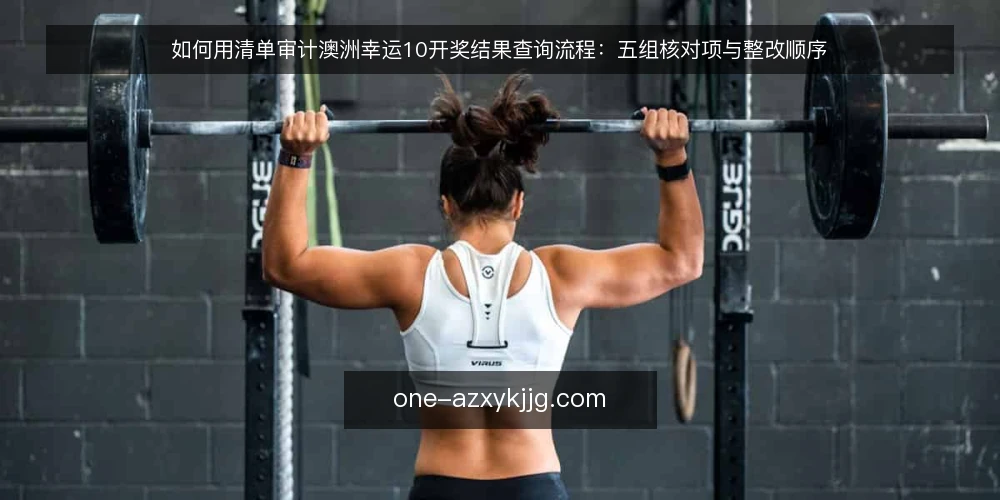 如何用清单审计澳洲幸运10开奖结果查询流程:五组核对项与整改顺序 — 为什么现在就该做一次查询审计 配图